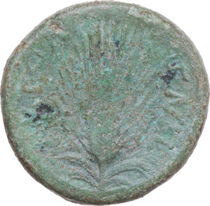 reverse: Southern Apulia, Butuntum. AE 19.5 mm. 275-225 BC