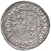 Reverse image