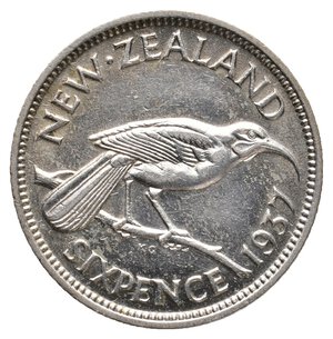 obverse: NEW ZEALAND - George VI - Six Pence argento 1937