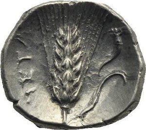 reverse: Lucania. Metapontion. Circa 325-275 BC. Diobol (Silver, 12.49 mm, 1.28 g) Head of Athena right, wearing Corinthian helmet and flowing hair behind neck. Rev. META vertical to left. Ear of grain with leaf to right, cornucopia above. Johnston, Metapont III, F21. HN Italy - (cfr. 1596 corr.). HGC 1, 1078. Light tone. Fine style. Some deposits. otherwise, Good Extremely Fine. 
