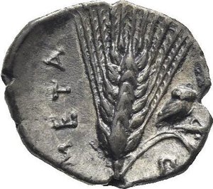 reverse: Lucania. Metapontion. Circa 325-275 BC. Diobol (Silver, 12.51 mm, 1.09 g) Head of youthful Apollo Karneios left, wearing ram’s horn around ear, ΣΑ below chin. Rev. META Ear of grain with leaf to right on which stand an owl and a grasshopper, Π below leaf. HN Italy 1601. Johnston-Noe F7.2. SNG ANS 495. De Luynes 514. SNG Lockett 431. Dark tone. Near Extremely Fine/Extremely Fine.


