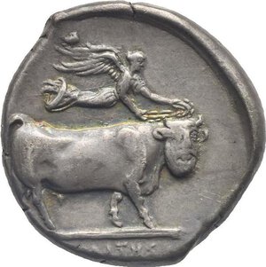 reverse: Campania. Neapolis. Circa 420-400. Didrachm (Silver, 20.95 mm, 7.58 g) Head of nymph Parthenope right wearing taenia and curly hair. Rev. [ΝΕΑΠΟ]ΛΙΤΗΣ in exergue, under double ground line. Men-headed bull (Acheloo) walking right, head facing slightly right, Nike flying above to right crowning him. Sambon 334. Rutter, Campanian. 112 (this coin illustrated on the cover). HN Italy 552. Toned. Good Very Fine. Rare.

From the A. Moretti collection. Ex Numismatica Ars Classica P, 12 May 2005, lot 1007.
