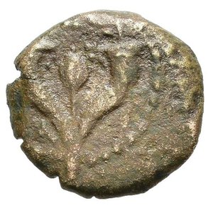 reverse: JUDAEA. Alexander Jannaios (103-76 a.C.). Prutah per Gerusalemme. AE (g 1,37). Melograno tra due cornucopie. R/ Leggenda aramaica in cinque righe. HGC 10, 638-41. MB-BB. Nr.Reg. 613/24