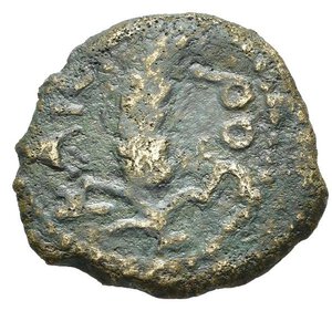 obverse: JUDAEA. Periodo di Augusto (27 a.C.- 14 d.C.). Prutah per Gerusalemme. AE (g 1,27). Anno incerto. Spiga. R/ Albero di palma. RPC I 4954-7. MB-BB. Nr.Reg. 613/24