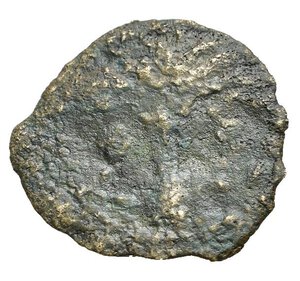 reverse: JUDAEA. Periodo di Augusto (27 a.C.- 14 d.C.). Prutah per Gerusalemme. AE (g 1,27). Anno incerto. Spiga. R/ Albero di palma. RPC I 4954-7. MB-BB. Nr.Reg. 613/24