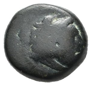 obverse: LIDIA. Sardi (circa II-I secolo a.C.). AE (g 4,31). Testa di Eracle a destra, con pelle di leone. R/ Anfora; monogramma in basso a destra. GRPC 170. MB