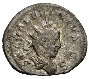 obverse: SALONINO, Cesare (258-260). Milano. Antoniniano. MI (2,93 g). D/ SAL VALERIANVS CS, busto radiato, drappeggiato e corazzato a destra visto di spalle; R/ PRINC IVVENT, Salonino regge un bastone e una lancia, accanto ad un insegna. RIC V 10. qSPL. nr.reg.601/24