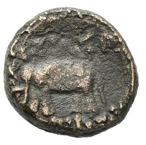 reverse: SELEUCIDI. Antioco III ? (223-187 a.C.). AE per Antiochia (g 1,70). Testa di Apollo a destra. R/ Elefante stante a sinistra; ancora(?) davanti. Cf. SC 979.1. MB