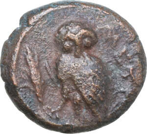 reverse: Southern Lucania, Metapontum. AE 15 mm, c. 250-207 BC