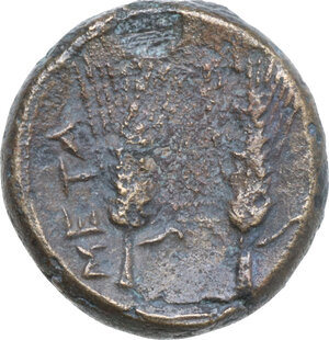 reverse: Southern Lucania, Metapontum. AE 17 mm, late 3rd century BC