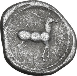 reverse: Bruttium, Kaulonia. AR Drachm, c. 475-425 BC