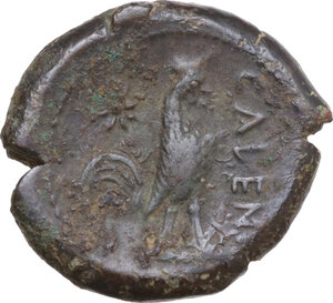 reverse: Samnium, Southern Latium and Northern Campania, Cales. AE 20 mm. c. 265-240 BC