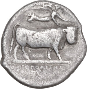 reverse: Central and Southern Campania, Neapolis. AR Didrachm, circa 350-325 BC