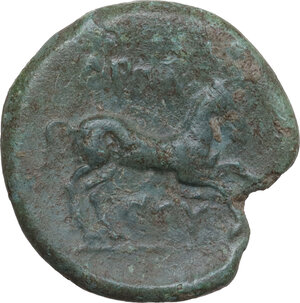 reverse: Northern Apulia, Arpi. AE 23 mm. c. 275-250 BC