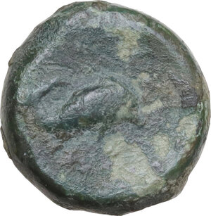 obverse: Northern Apulia, Salapia. AE 15 mm, 275-250 BC