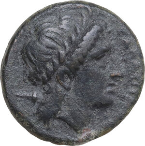 obverse: Northern Apulia, Salapia. AE 22 mm, 225-210 BC