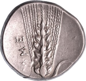 reverse: LUCANIA - METAPONTO. Nomos, anni 400-340 a.C.