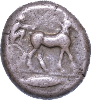 obverse: SICILIA - MESSANA. Tetradracma, anni 488-461.