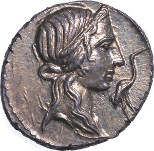 obverse: CAECILIA. Q. Cecilius Metellus Pius, 81 a.C. Denario.