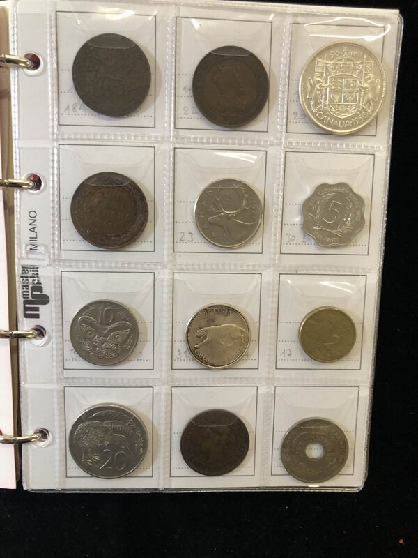 Immagine aggiuntiva 3