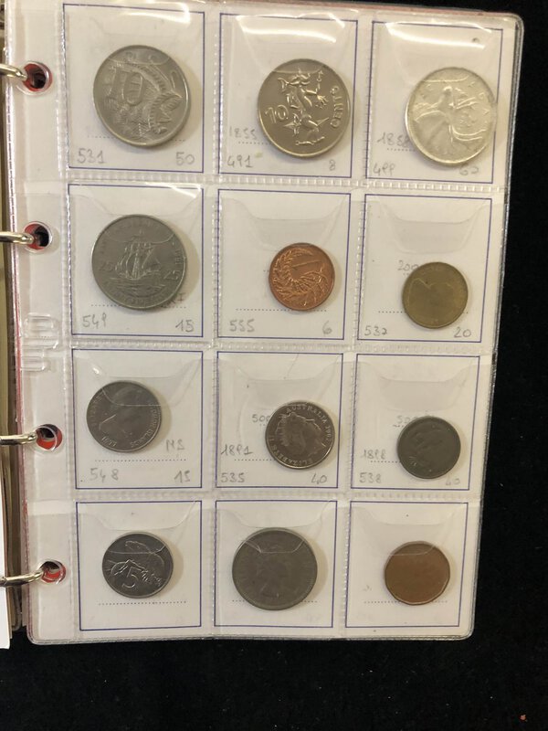 Immagine aggiuntiva 5