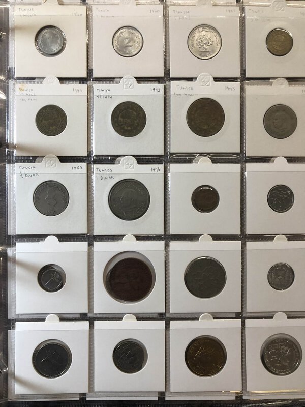 Immagine aggiuntiva 8