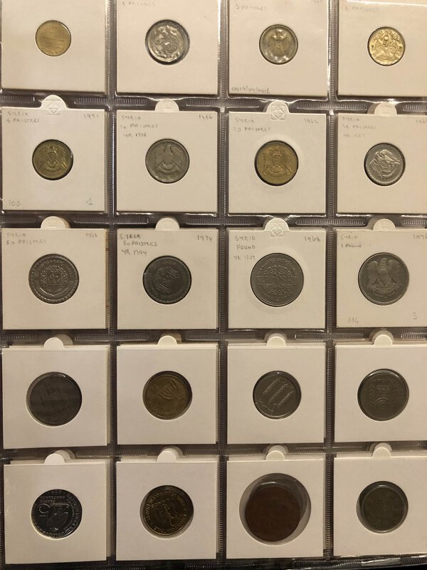 Immagine aggiuntiva 9