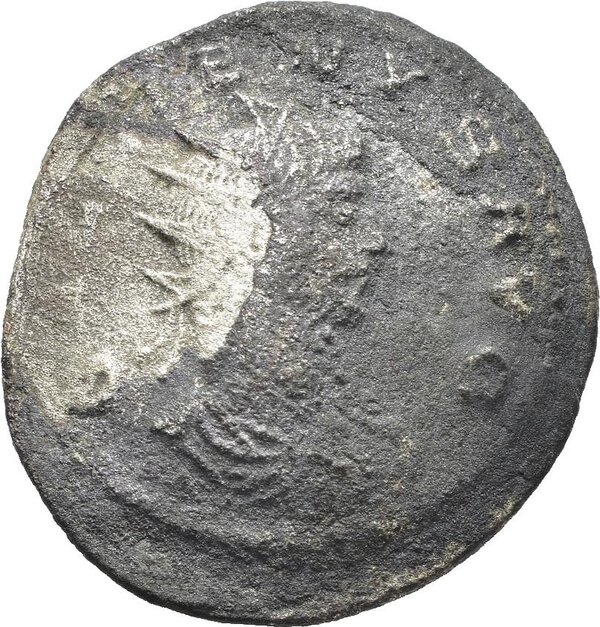 Dritto moneta