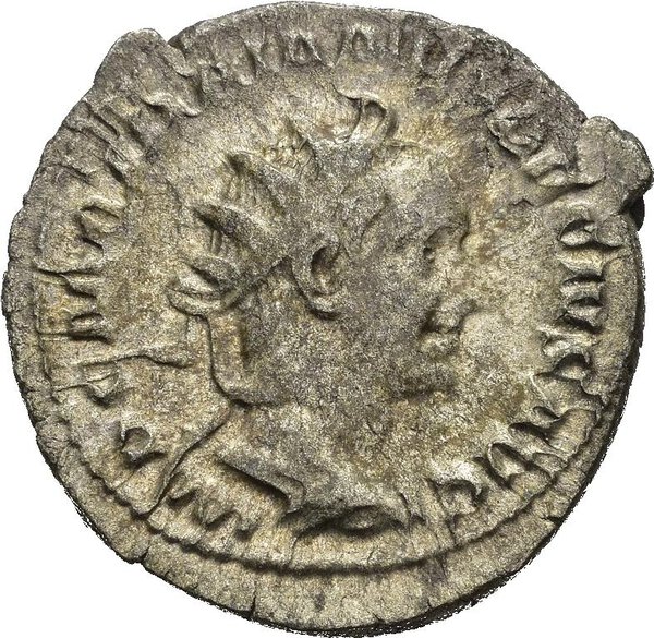 Dritto moneta