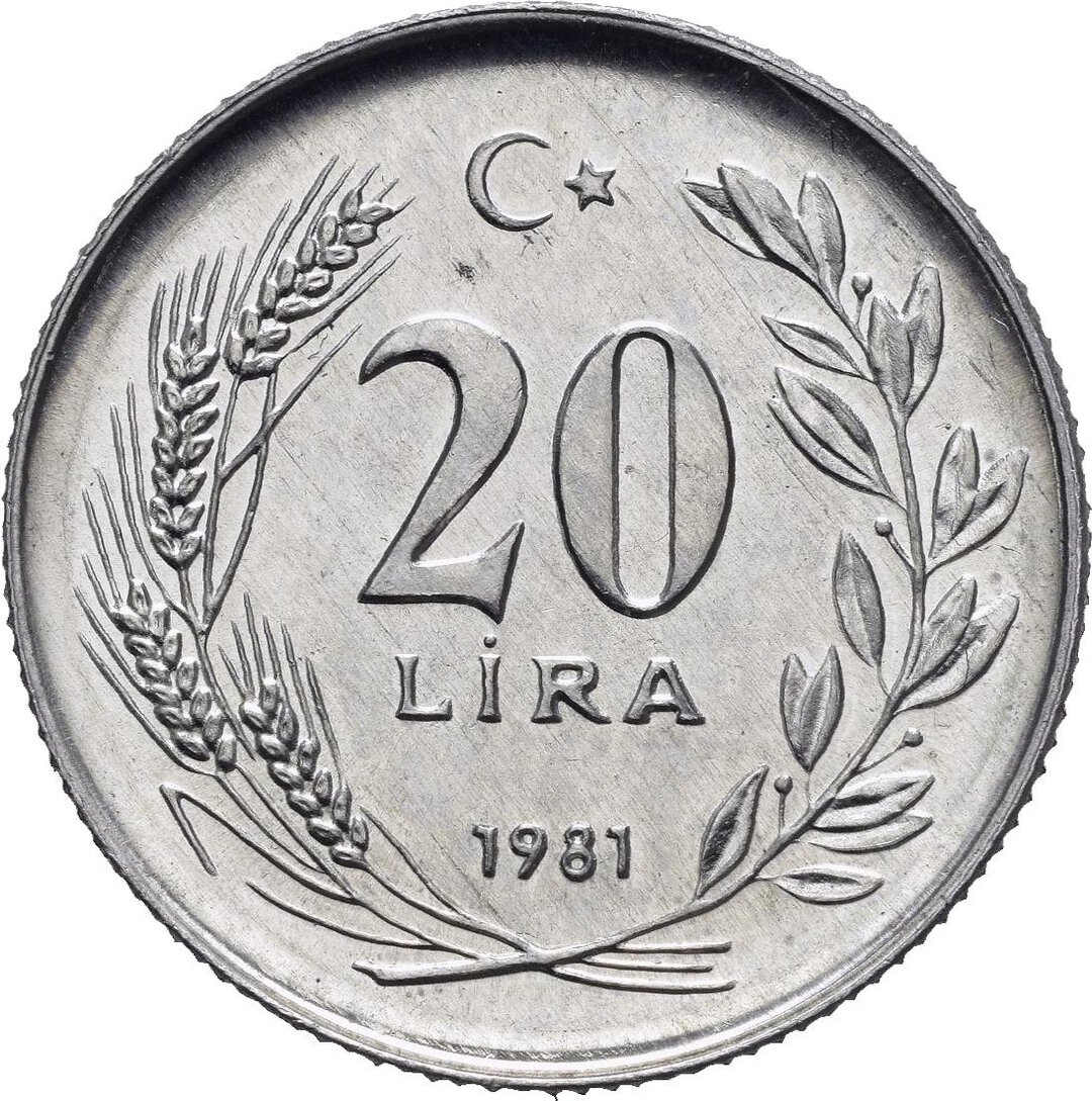 Rovescio moneta