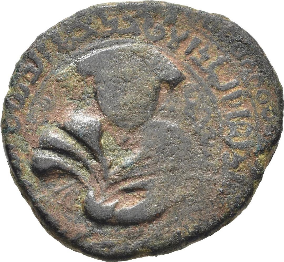 Dritto moneta