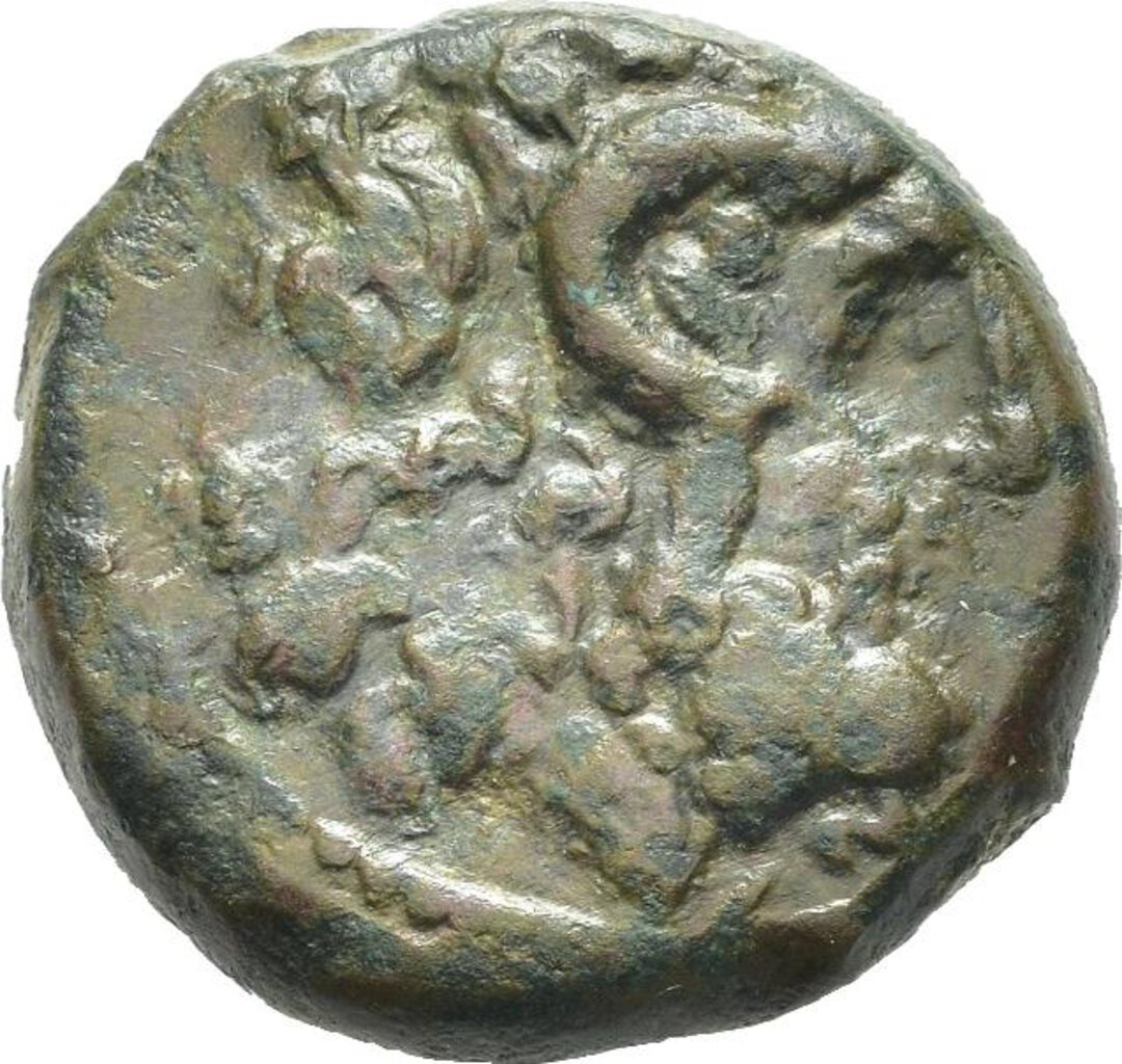 Dritto moneta