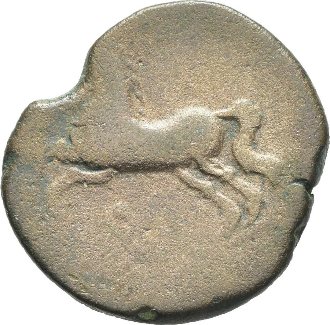 Rovescio moneta