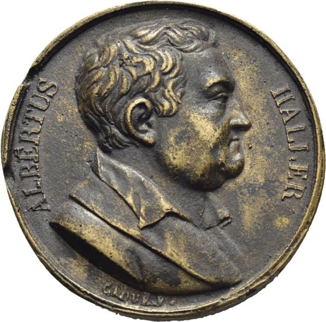 Dritto moneta