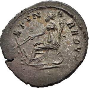 Reverse image