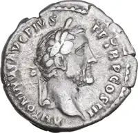 lot 481