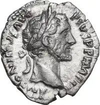 lot 484