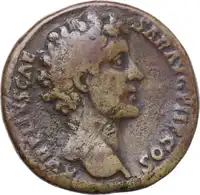 lot 501