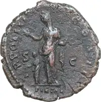 lot 503