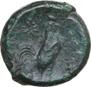 reverse: Samnium, Southern Latium and Northern Campania, Cales. AE 19 mm, 265-250 BC