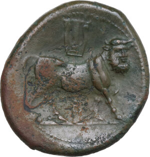 reverse: Samnium, Southern Latium and Northern Campania, Cales. AE 23 mm. c. 265-240 BC