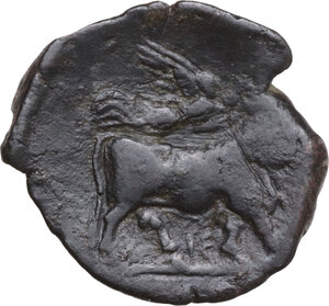 reverse: Samnium, Southern Latium and Northern Campania, Compulteria. AE 20 mm, 265-240 BC