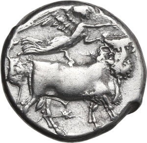 reverse: Central and Southern Campania, Neapolis. AR Nomos, 320-300 BC