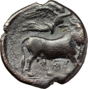 reverse: Central and Southern Campania, Neapolis. AR Nomos, c. 320-300 BC