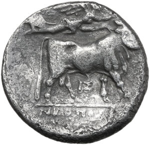 reverse: Central and Southern Campania, Neapolis. AR Nomos, c. 275-250 BC