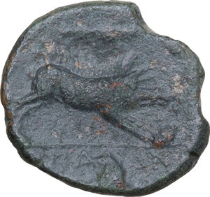 reverse: Northern Apulia, Arpi. AE Unit, c. 325-275 BC