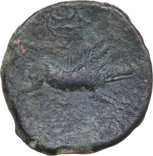 reverse: Northern Apulia, Salapia. AE 21 mm, 225-210 BC