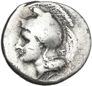 obverse: Northern Lucania, Velia. AR Didrachm, c. 334-300 BC