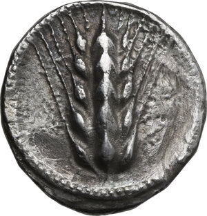 obverse: Southern Lucania, Metapontum. AR Stater, 470-440 BC