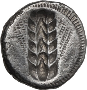 reverse: Southern Lucania, Metapontum. AR Stater, 470-440 BC